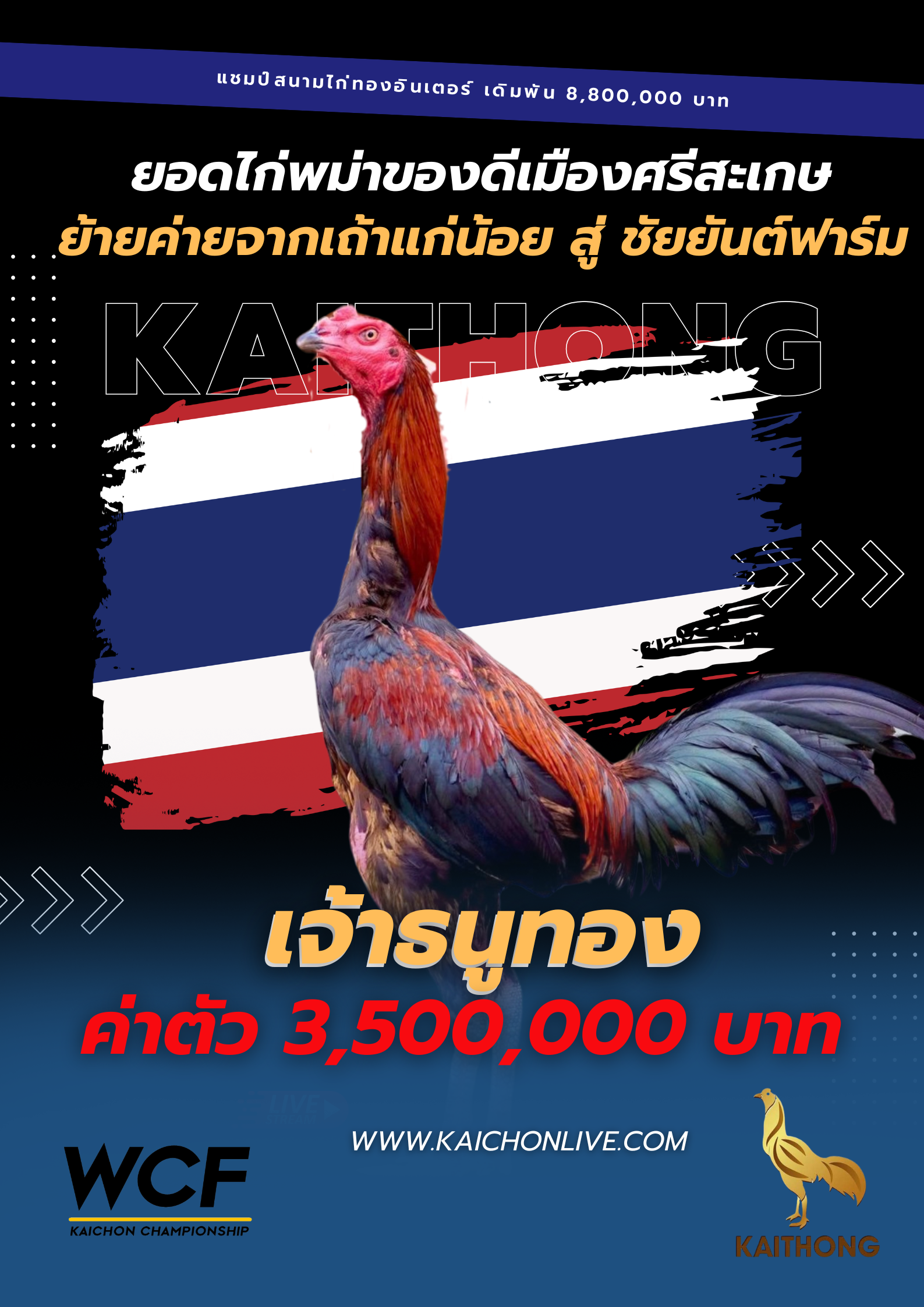 ทำเนียบยอดไก่พม่าสุดเก่ง ปี 2568 เจ้าธนูทอง ซุ้มเถ้าแก่น้อย 